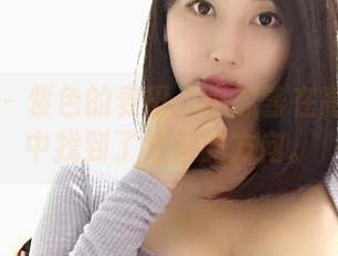 微密圈 - 紫色的麦田：小芯酱在高清作品中找到了浪漫的方向。